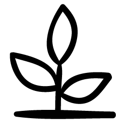 Hızlandırıcı Kurulum