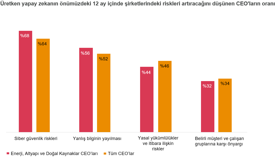 27. Küresel CEO Araştırması